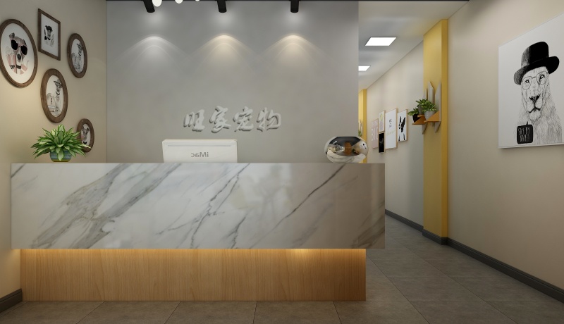 現(xiàn)代簡(jiǎn)約寵物店前臺(tái)