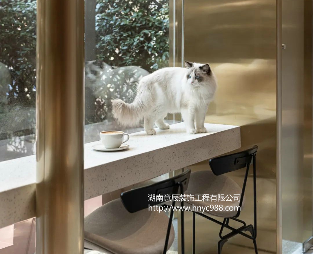 長沙貓咪咖啡館裝修設計